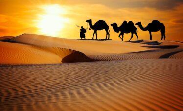 Classic Rajasthan Odyssey: Jaipur – Jodhpur – Jaisalmer (6 Days / 5 Nights)